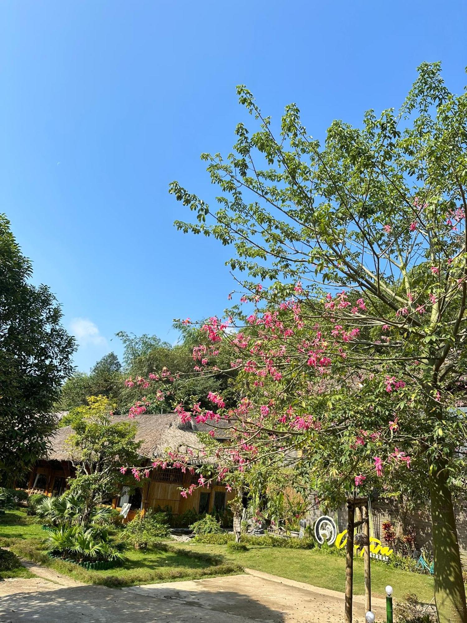 Om Tara Retreat Hotel Yen Bai Exterior photo